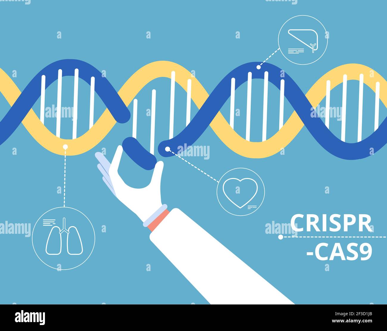 CRISPR Cas9 Konzept. Biochemische Technik medizinische Genforschung Mutation Biologie dna-Modifikation Vektor Hintergrund Stock Vektor