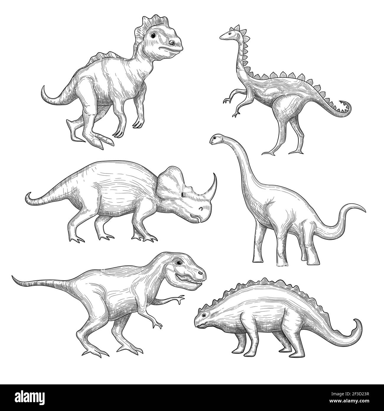 Dinosaurier. Paläontologie Ausstellung Sammlung pflanzenfressende Aussterben Dinosaurier in Aktion stellt Hand gezeichnet Vektor Stock Vektor