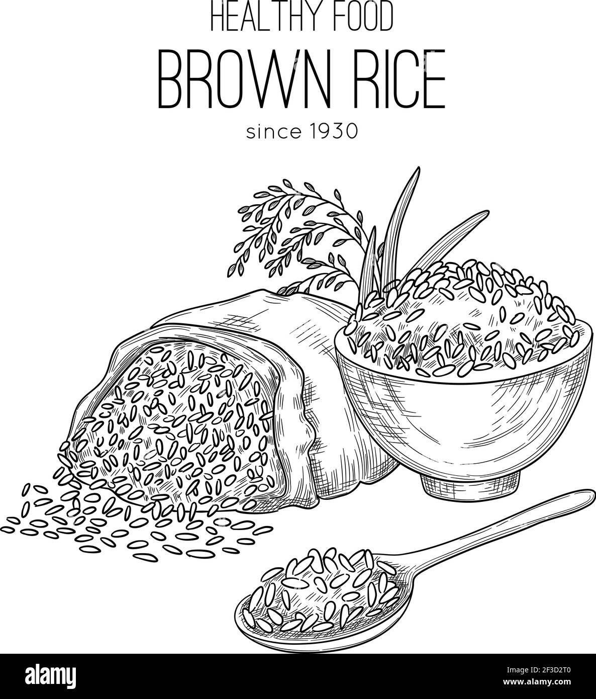 Reis von Hand gezeichnet. Landwirtschaftliche Hintergrund mit Säcken Getreide Weizen gesunde natürliche Bio-Lebensmittel weißen Reis Pflanzen Vektor Stock Vektor