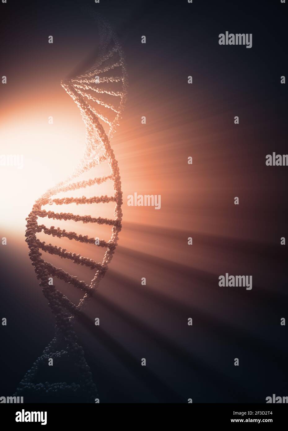 DNA-Molekül mit Rücklicht, das Schatten und Lichtstrahlen erzeugt. Stockfoto