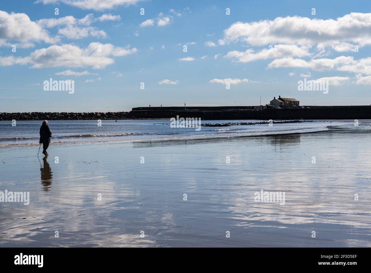 Lyme Regis, Dorset, Großbritannien. März 2021, 16th. UK Wetter: Herrliche Frühlingssonne im Badeort Lyme Regis. Der Strand war heute ruhig, trotz der milden warmen Sonne und des blauen Himmels. Kredit: Celia McMahon/Alamy Live Nachrichten Stockfoto