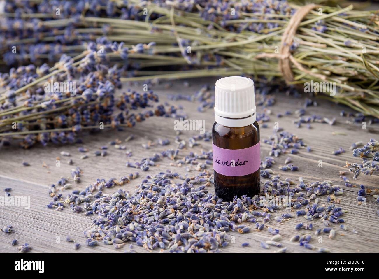 Lavendelblüten natürliches ätherisches Öl Stockfoto