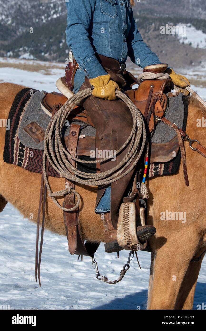 USA, Colorado, Westcliffe, Music Meadows Ranch. Weibliche Ranchhand in typischer westlicher Ranchkleidung. Modell Freigegeben. Stockfoto