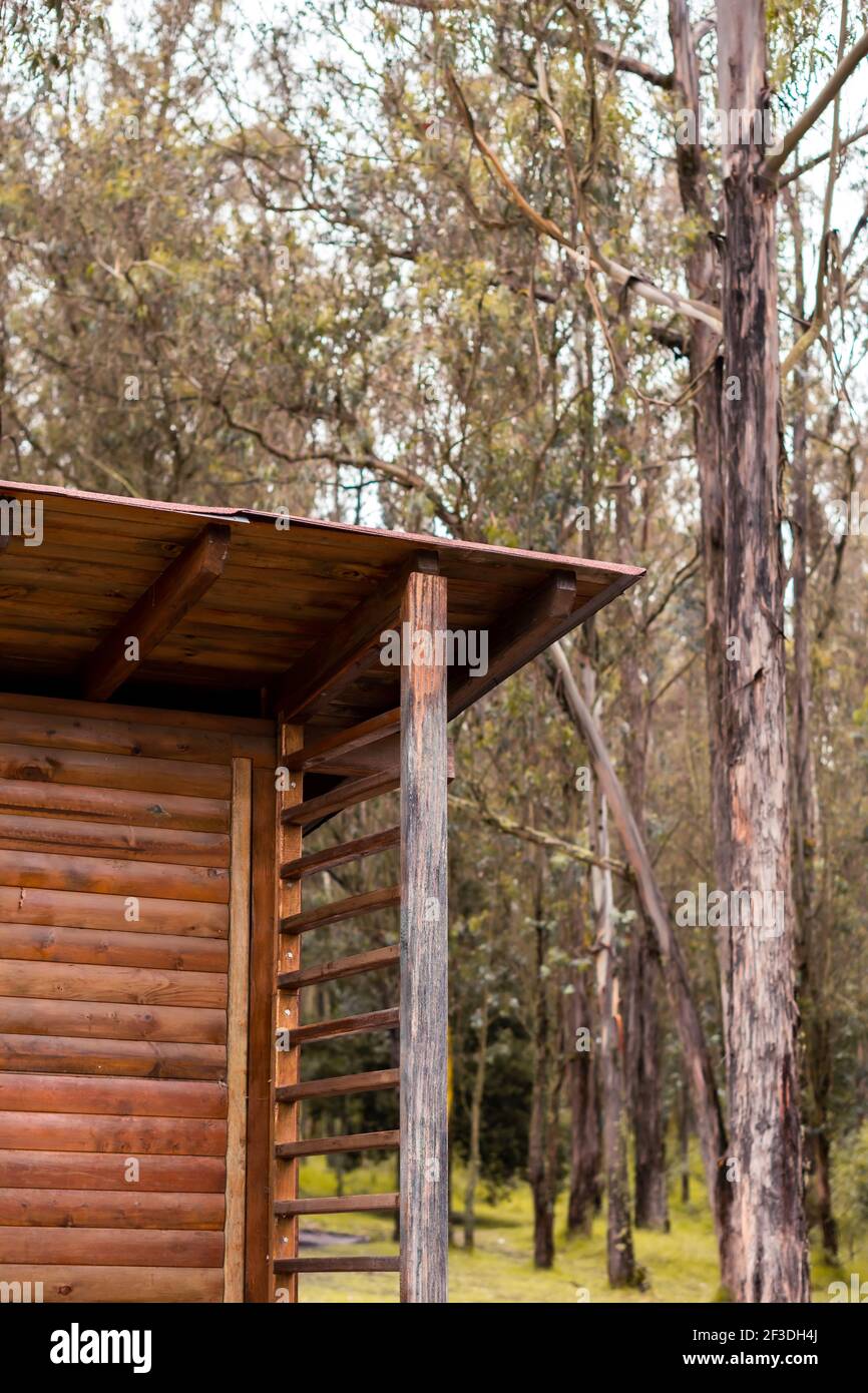Ein Spaziergang durch einen Park. Genießen Sie die Natur um ihn herum. Stockfoto
