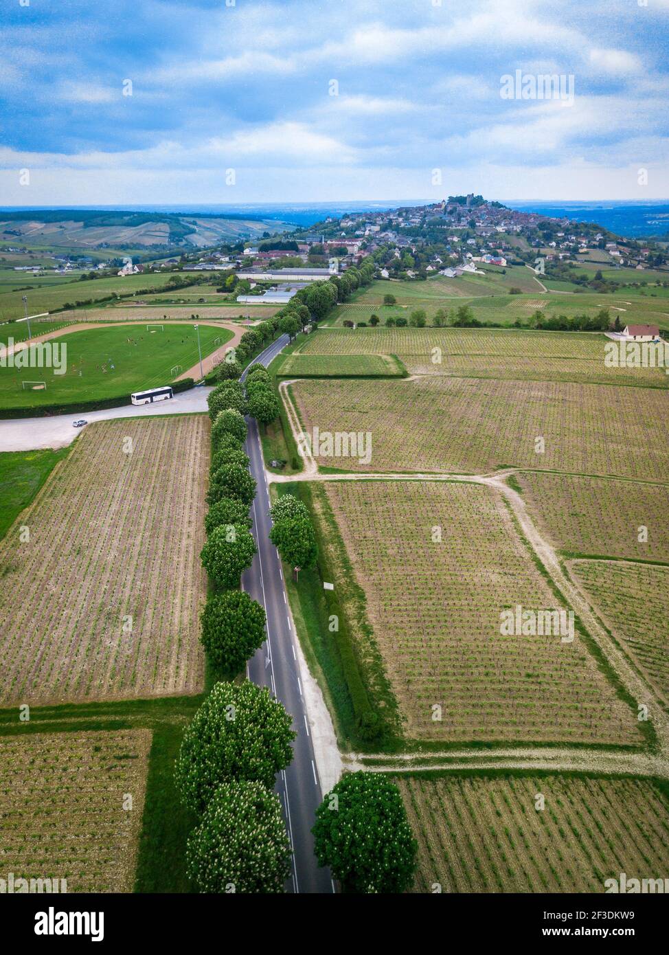 Blick auf die Straße, die in die Stadt auf dem Hügel führt. Pfad gesäumt von blühenden Bäumen und Weinbergen. Französische Landschaft im Frühling. Stockfoto