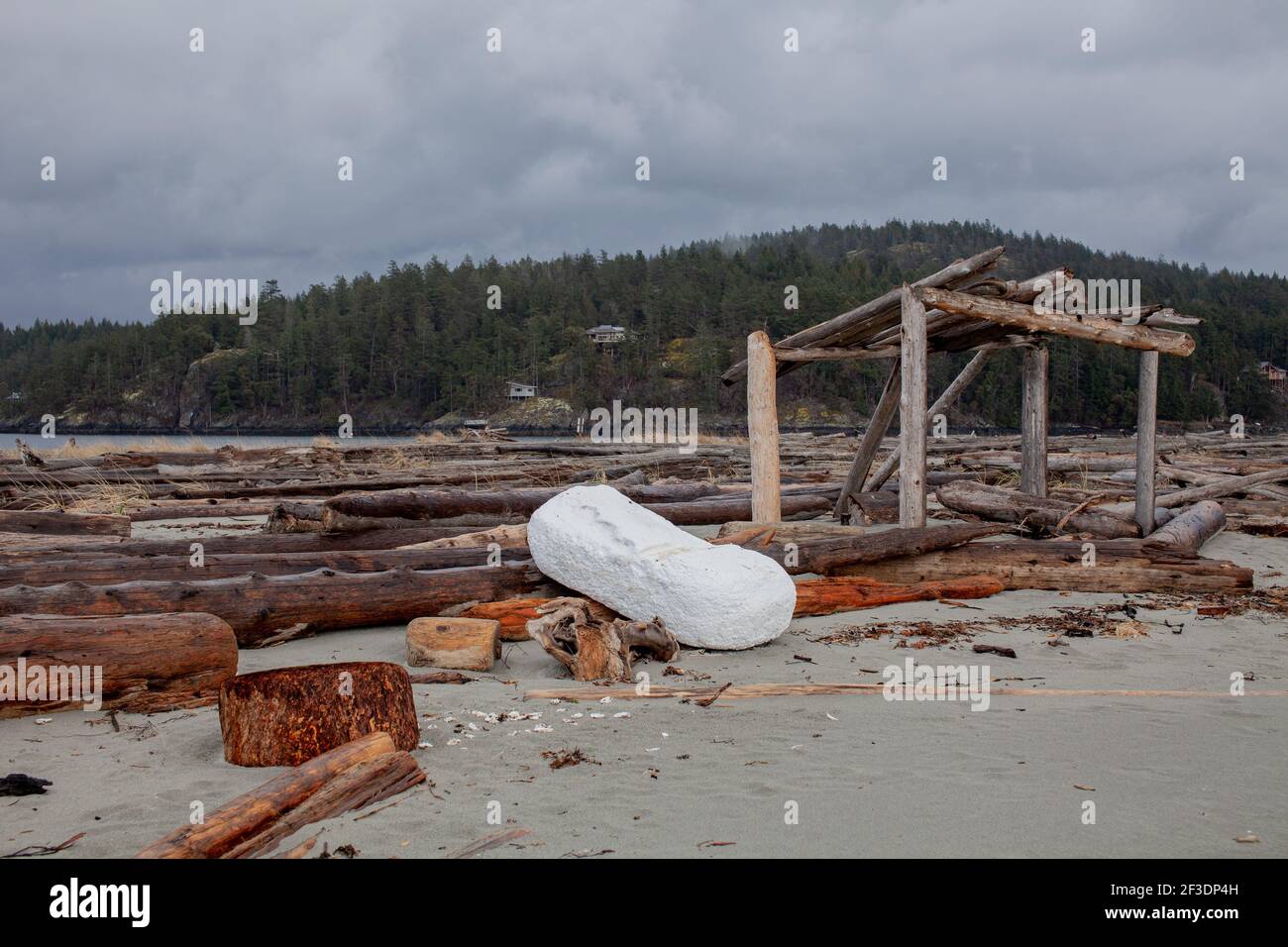 Ein großer Schaumpock hat sich an den Ufern der wunderschönen Thormany Island von British Columbia aufgewaschen, einem beliebten Strandziel mit unberührter Natur Stockfoto