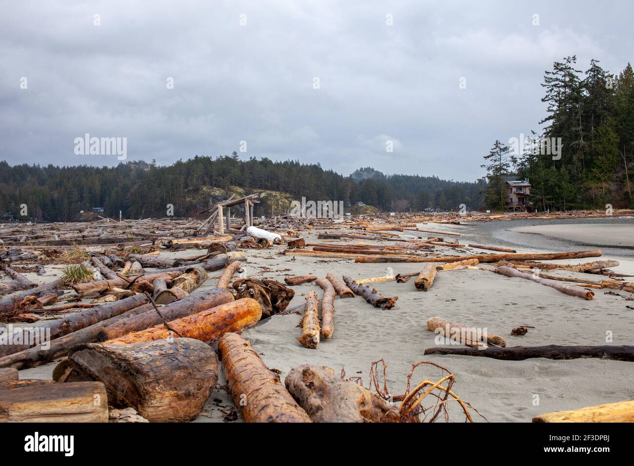 Thormanby Island ist eine wunderschöne Insel vor der Sunshine Coast in British Columbia. Es ist nur von Secret Cove aus mit dem Boot zu erreichen und bietet wunderschönen Sand Stockfoto