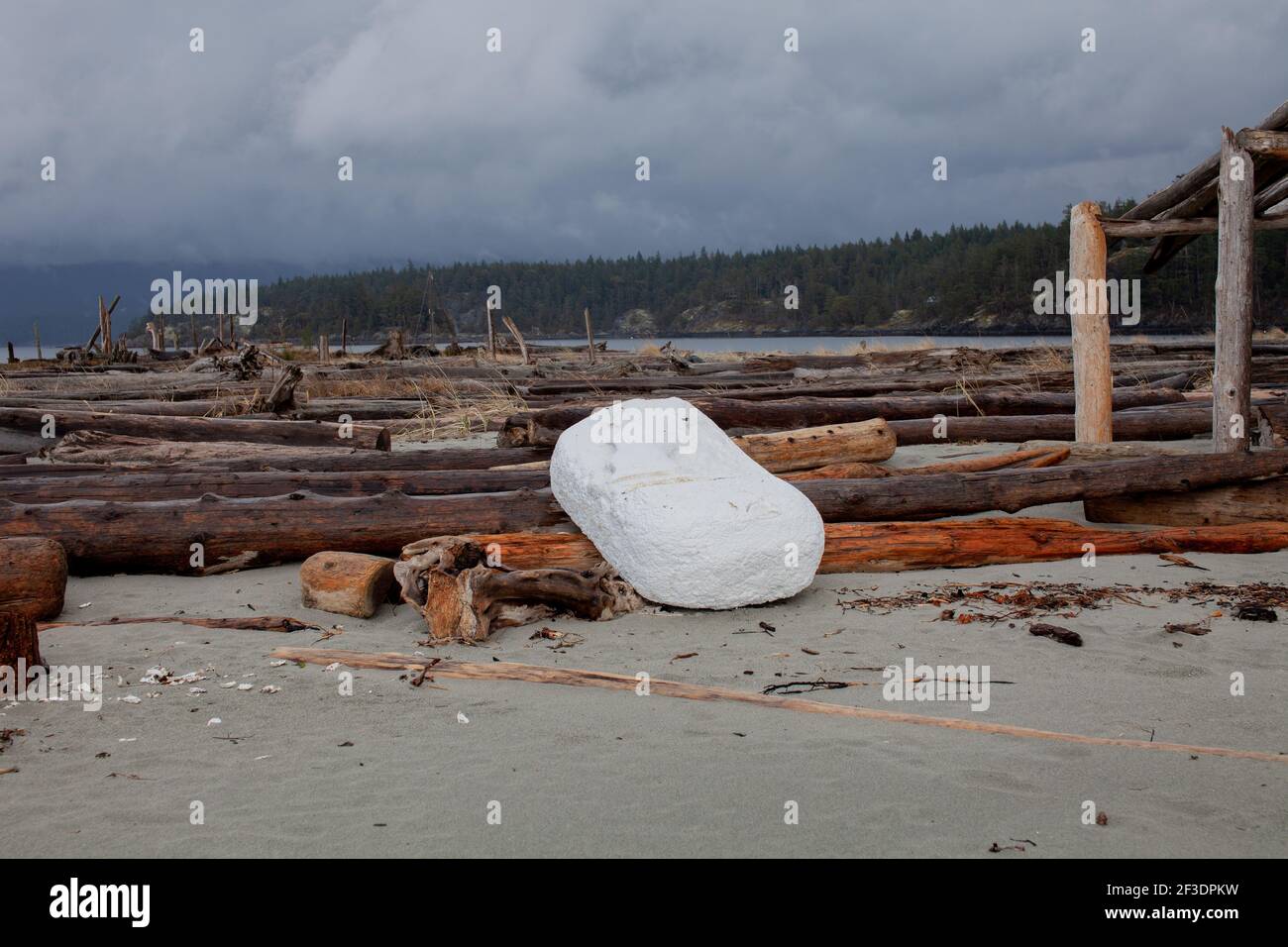 Ein großer Schaumpock hat sich an den Ufern der wunderschönen Thormany Island von British Columbia aufgewaschen, einem beliebten Strandziel mit unberührter Natur Stockfoto