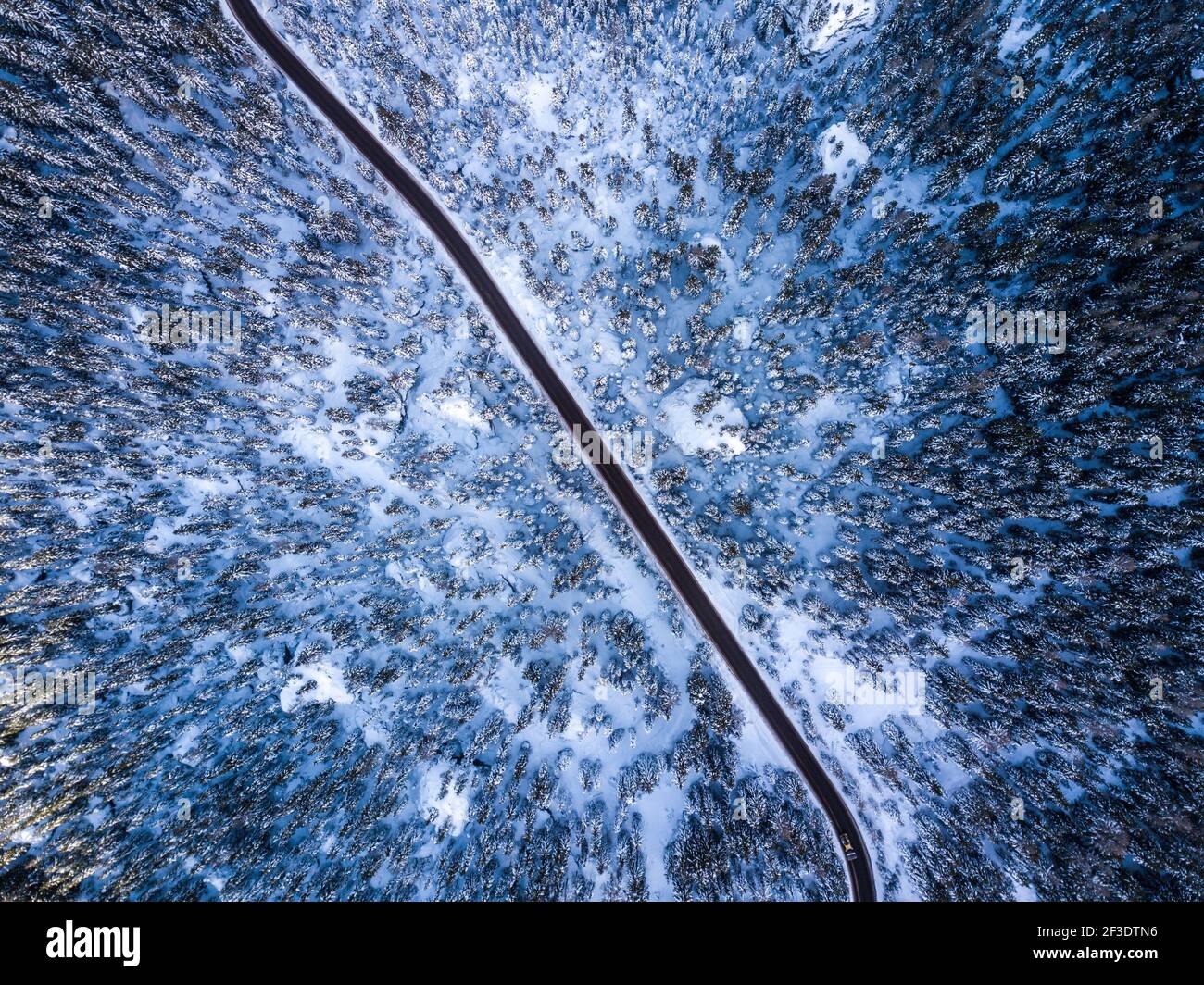 Luftaufnahme auf Winterwald durch schwarze Straße geteilt. Draufsicht von oben nach unten von der Drohne. Abstrakter Winter-Hintergrund. Stockfoto