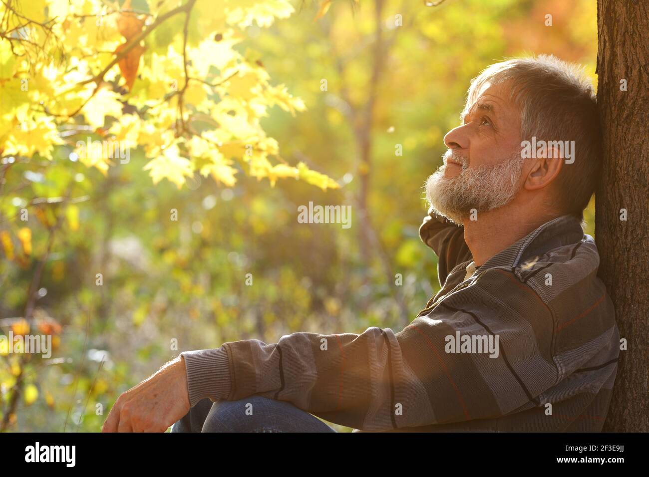 Rentner gesund und glücklich in der Natur Stockfoto