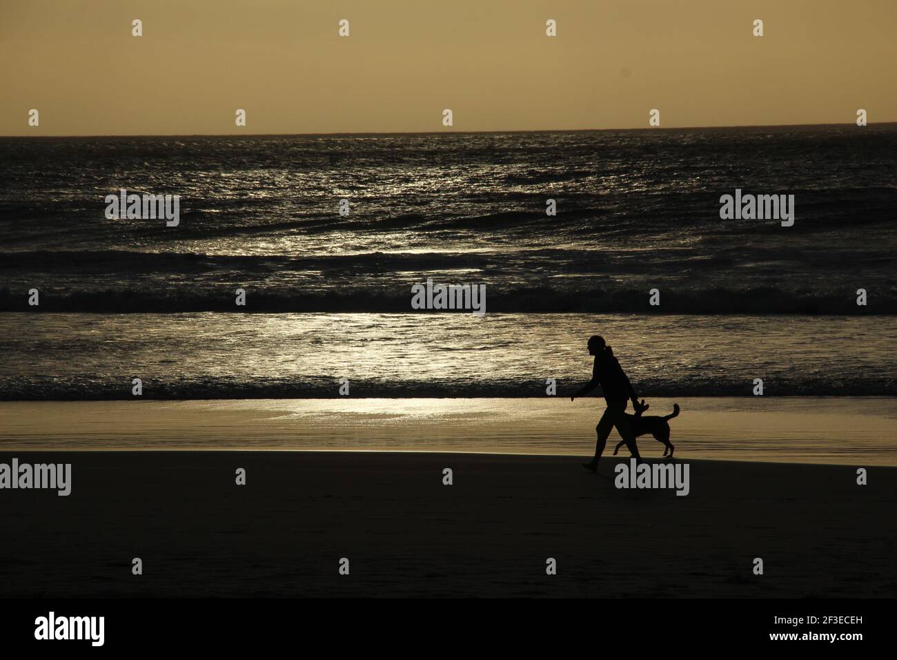 Eine Person geht mit ihrem Hund entlang der Clifton Strände in der Nähe Kapstadt in Südafrika Stockfoto