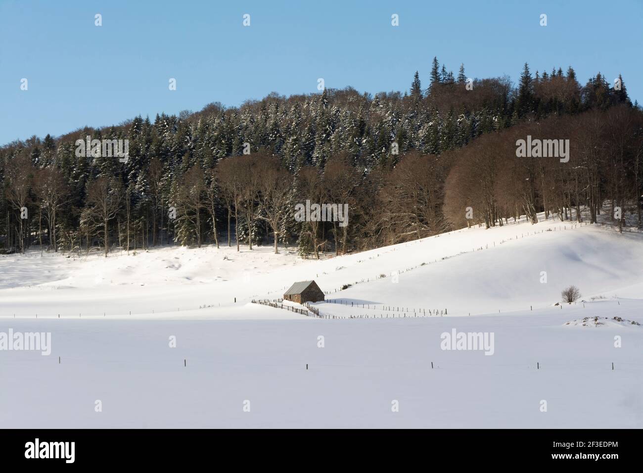 Bauernhof im Winter, Regionaler Naturpark der Vulkane d'Auvergne, Puy de Dome, Frankreich, Europa Stockfoto