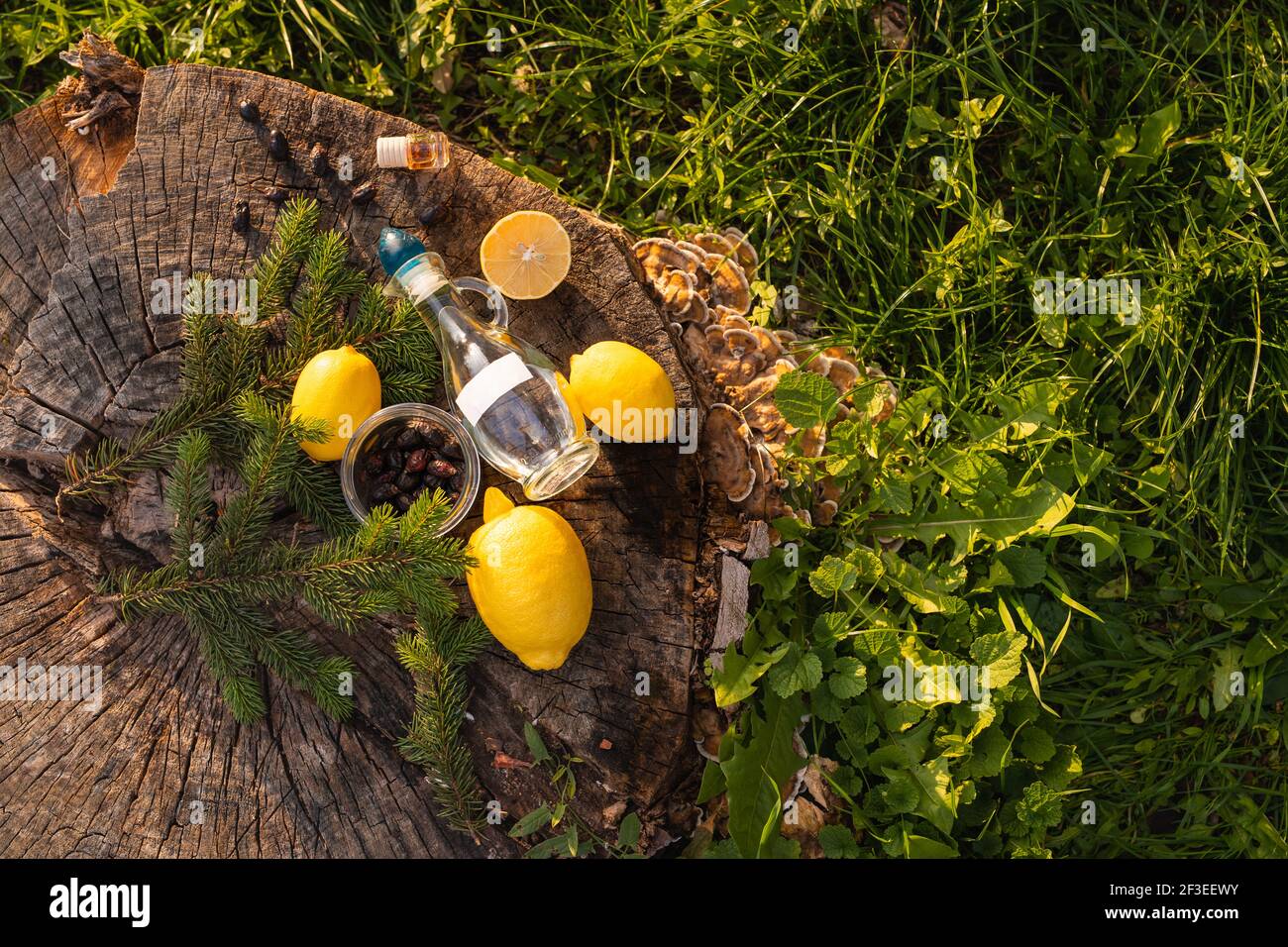 Außenfoto, Naturblick im Park. Anleitung von ungiftigen Hausreinigung Reinigungsmittel im Glas Rezept:Essig, ätherisches Öl aus getrockneten brier und Stockfoto