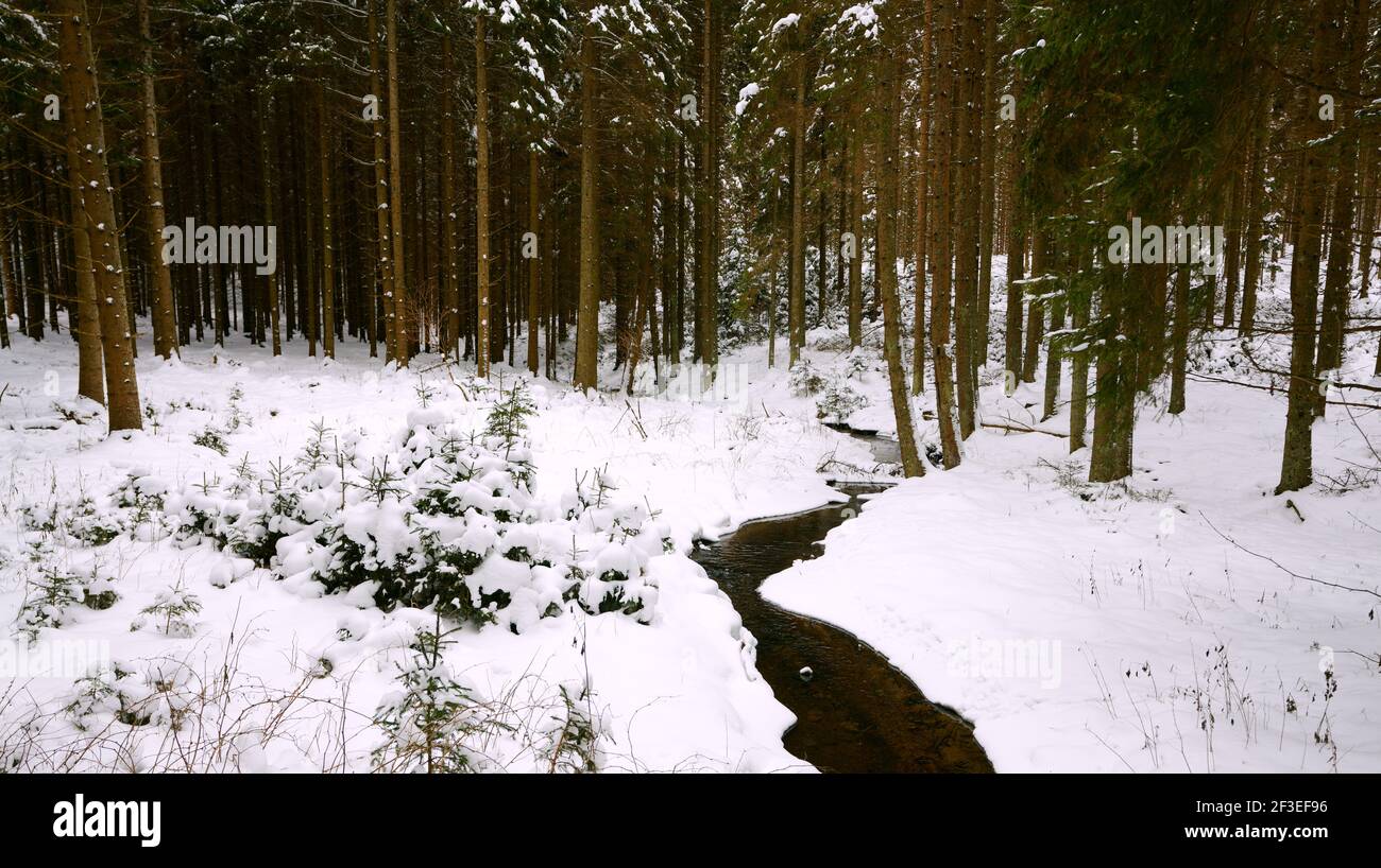 Landschaftlich schöner Blick auf eine Winterlandschaft Stockfoto