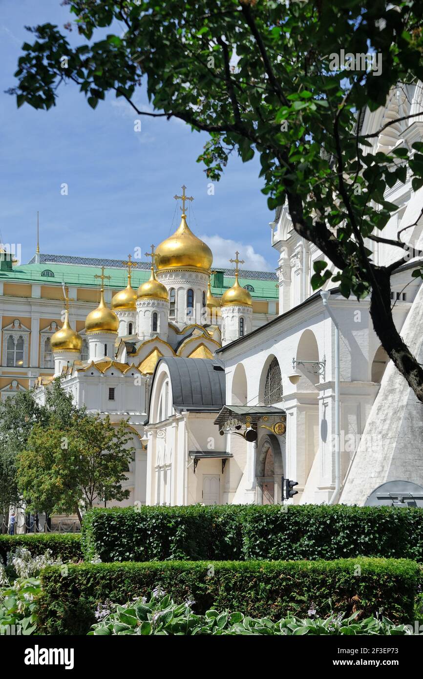 = Golden Onion Domes eingerahmt von Bäumen = atemberaubende Zwiebelform Kuppeln (Kuppeln) der alten Annunciation Cathedral mit einer südlichen Mauer Der Erzengel-Kathedrale Stockfoto