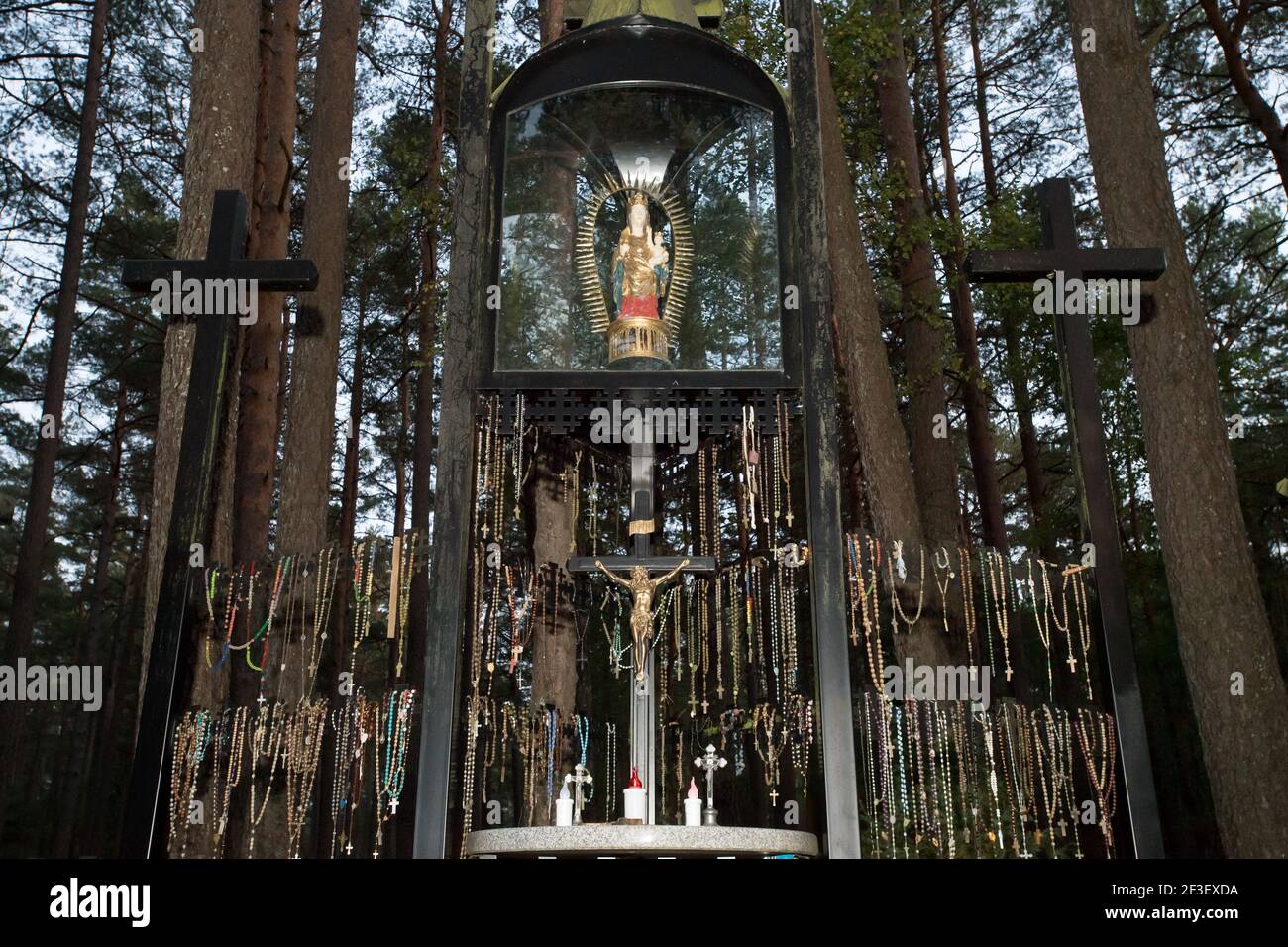 Märtyrer Selige Alicja Kotowska begraben in einem von mindestens 30 Massengräbern von 12.000 bis 14.000 polnischen Intellektuellen (nationale Aktivisten, Lehrer, Priester Stockfoto