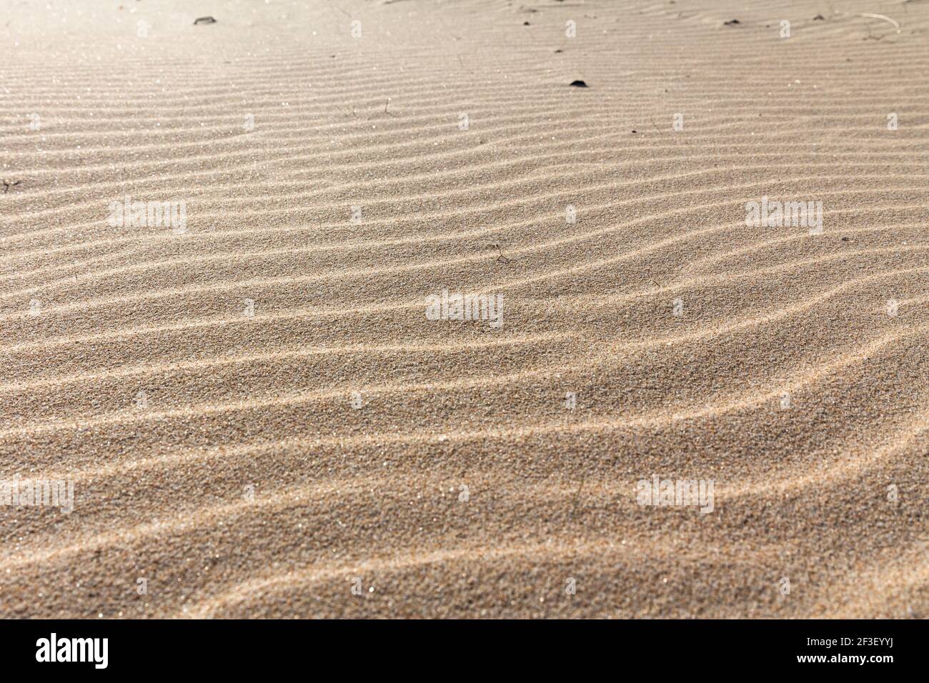 Schöne goldene Sandkräusel am Strand. Sanddüne. Muster auf goldenem Sand. Sandkräusel Hintergrund. Strandsand in Sardinien Italien aufgenommen. Stockfoto