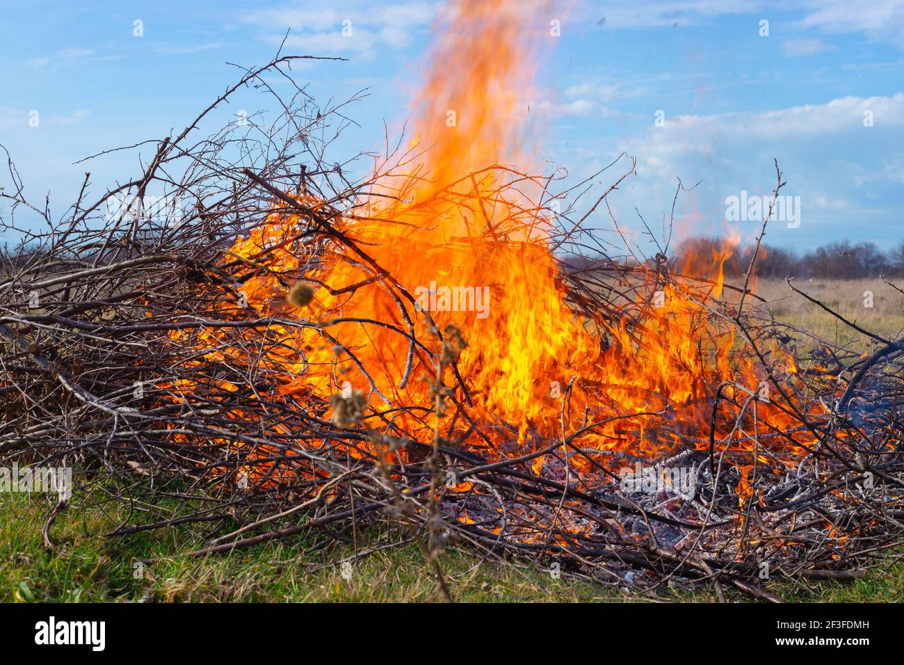 Lagerfeuer im Sommerhaus. Flammen von trockenen brennenden Ästen auf dem Feld, Trümmer Zerstörung. Brandgefahr. Stockfoto