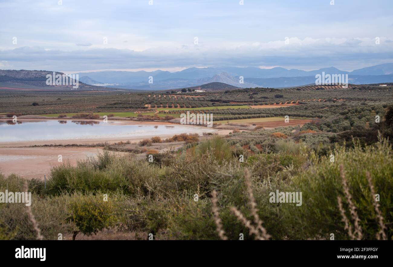 Laguna Fuente de Piedra Feuchtgebiet in der Provinz Málaga In Spanien Zugvögel Ruhestätte Stockfoto