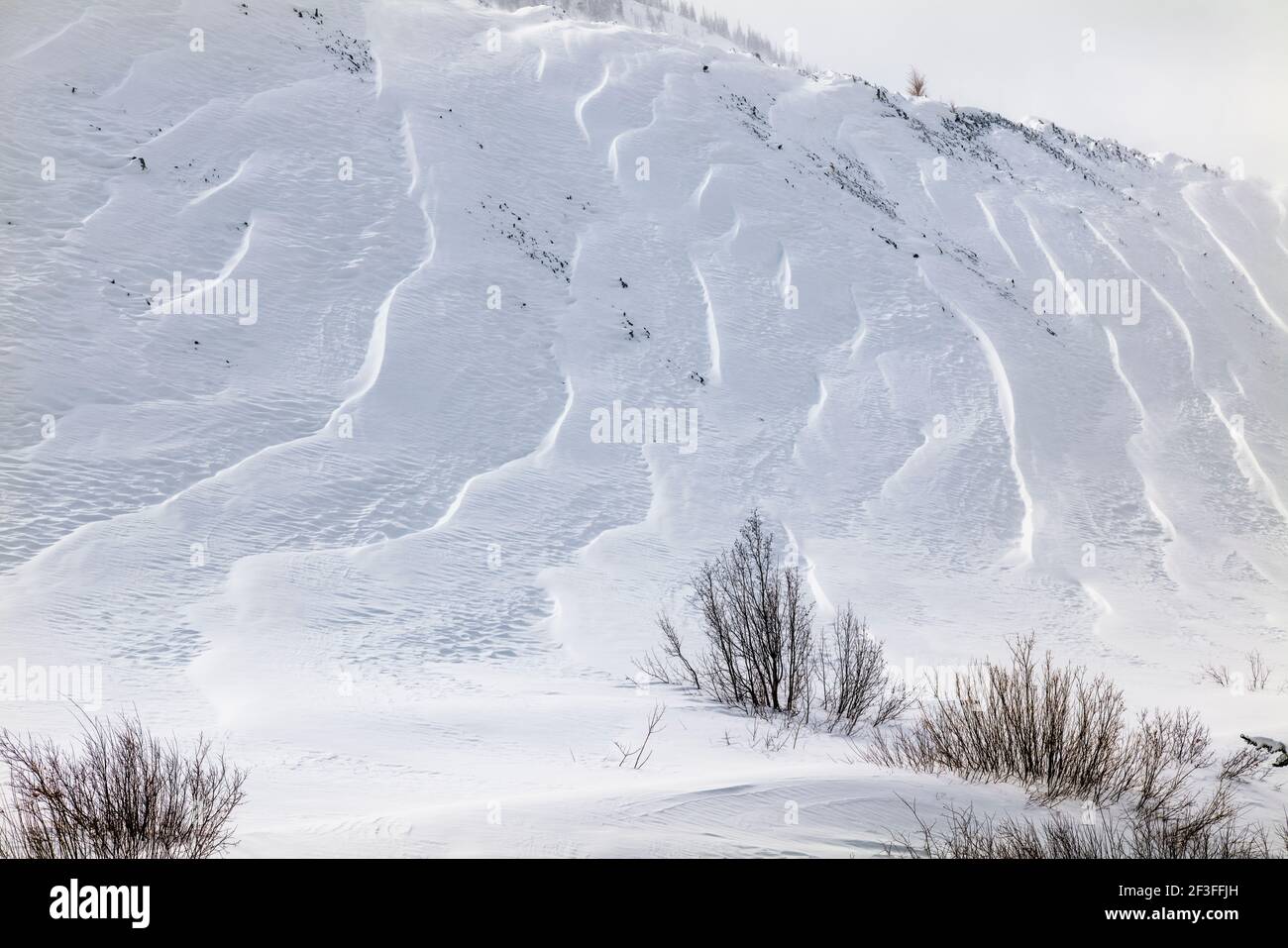 Wind gemeißelte Muster in Neuschnee; in der Nähe der Madonna Mine; Monarch Pass; Colorado; USA Stockfoto