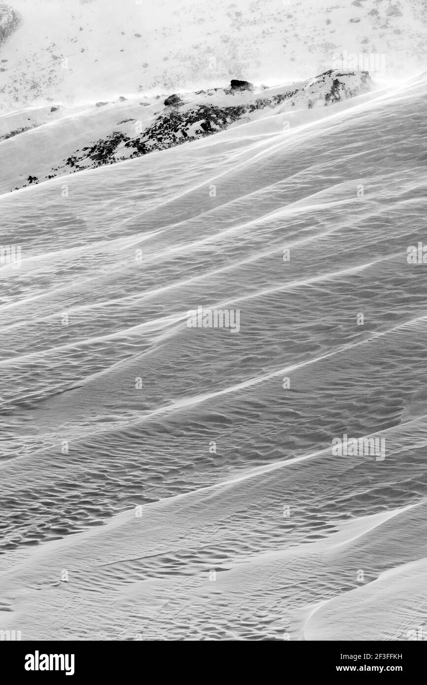 Schwarz-Weiß-Ansicht von Wind gemeißelten Mustern in Neuschnee; in der Nähe der Madonna Mine; Monarch Pass; Colorado; USA Stockfoto