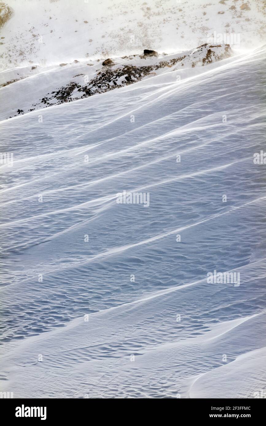 Wind gemeißelte Muster in Neuschnee; in der Nähe der Madonna Mine; Monarch Pass; Colorado; USA Stockfoto