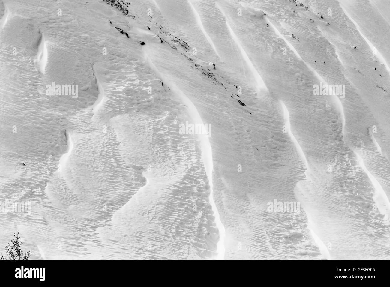 Schwarz-Weiß-Ansicht von Wind gemeißelten Mustern in Neuschnee; in der Nähe der Madonna Mine; Monarch Pass; Colorado; USA Stockfoto