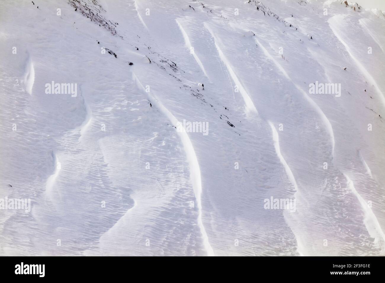 Wind gemeißelte Muster in Neuschnee; in der Nähe der Madonna Mine; Monarch Pass; Colorado; USA Stockfoto