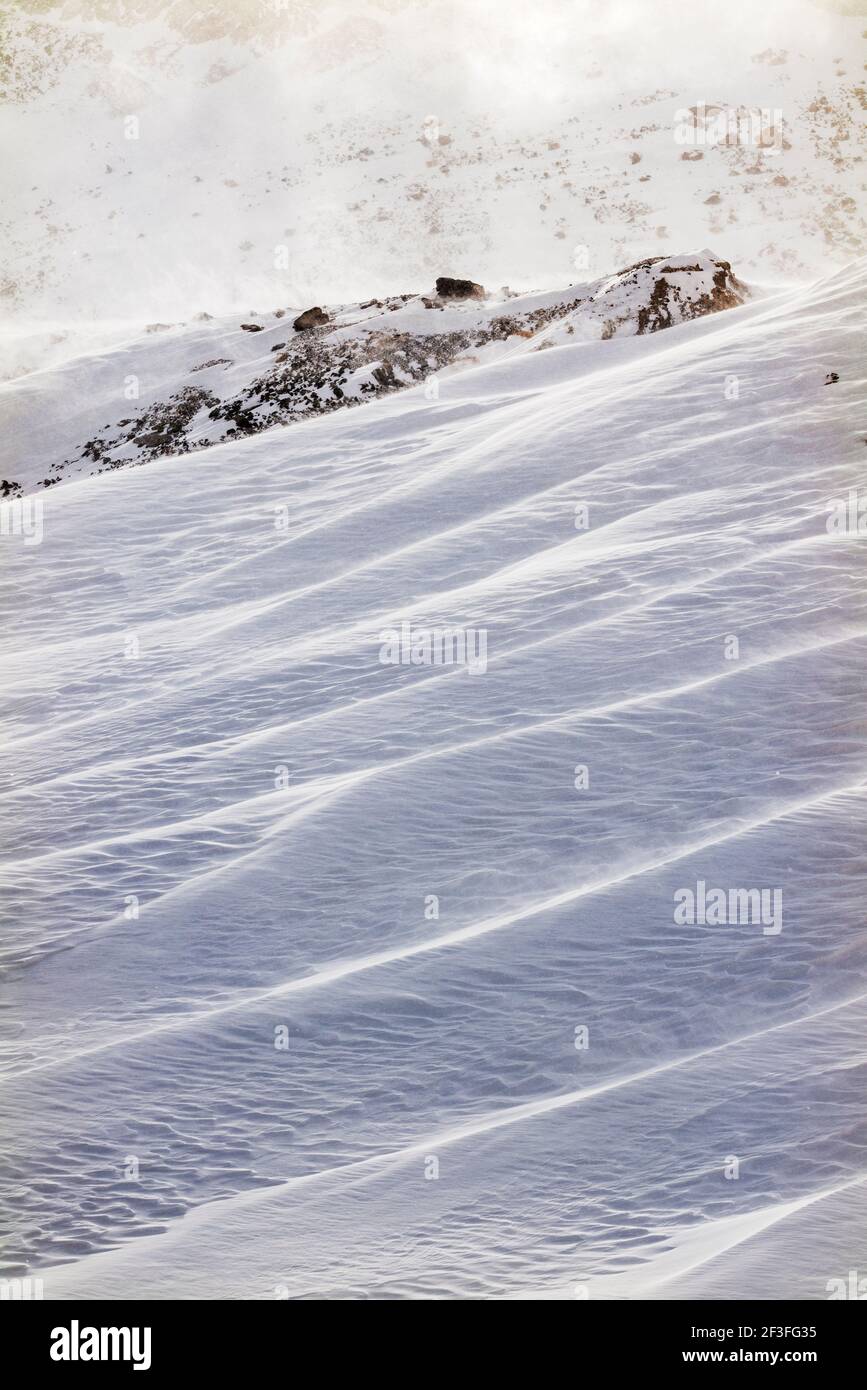 Wind gemeißelte Muster in Neuschnee; in der Nähe der Madonna Mine; Monarch Pass; Colorado; USA Stockfoto