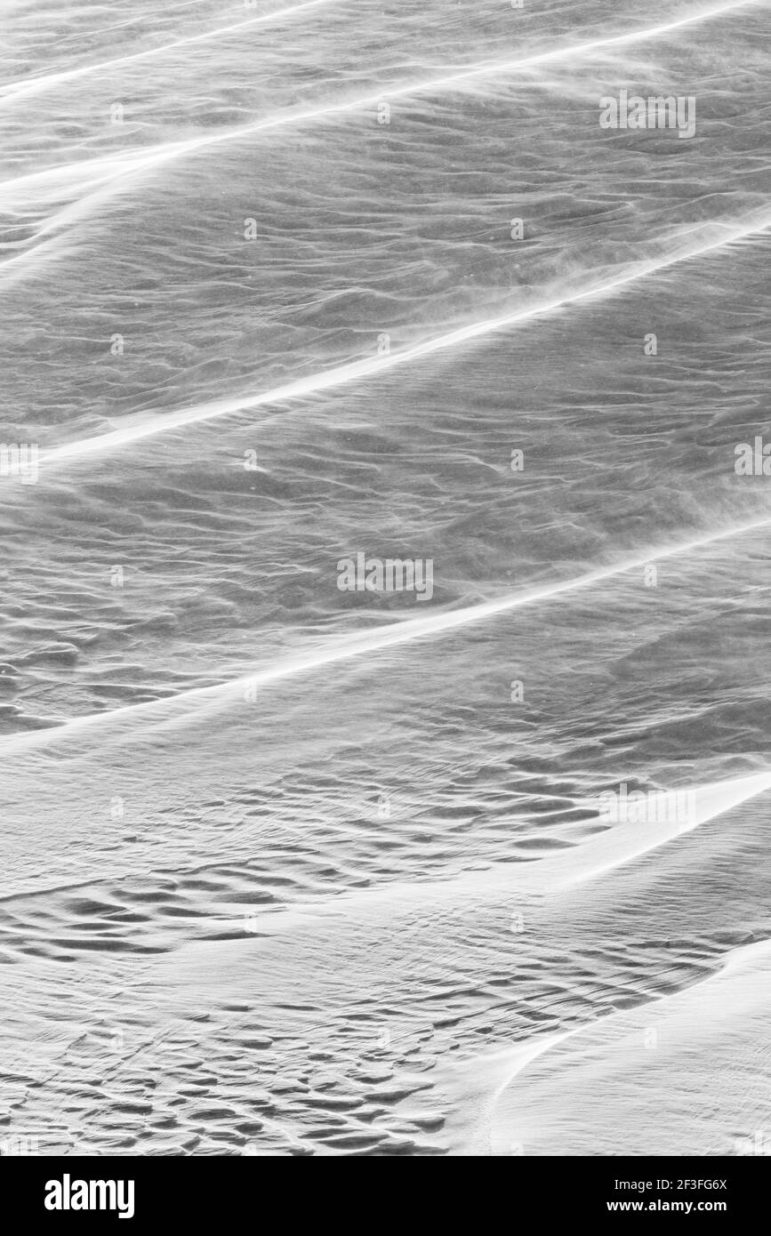 Schwarz-Weiß-Ansicht von Wind gemeißelten Mustern in Neuschnee; in der Nähe der Madonna Mine; Monarch Pass; Colorado; USA Stockfoto