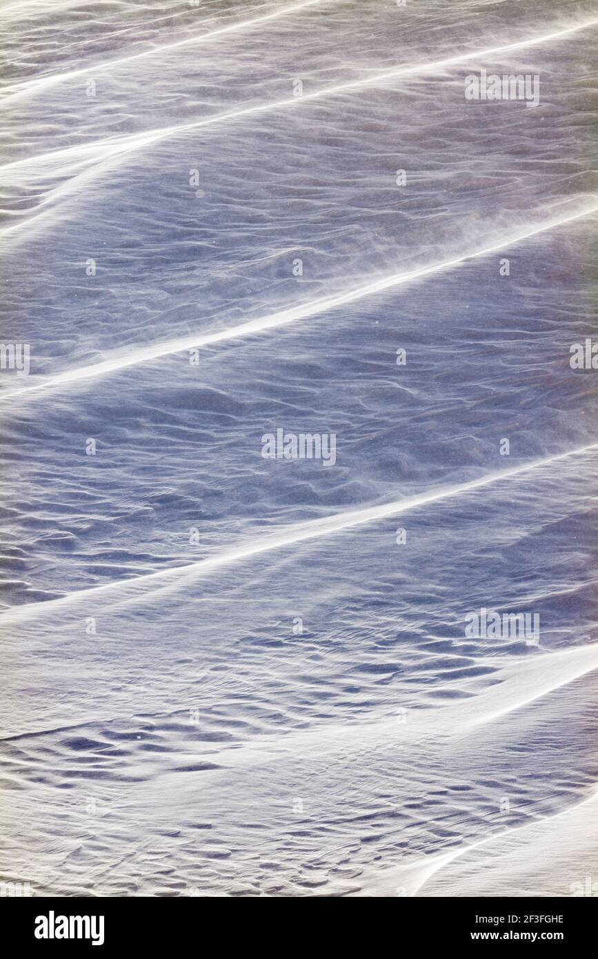 Wind gemeißelte Muster in Neuschnee; in der Nähe der Madonna Mine; Monarch Pass; Colorado; USA Stockfoto