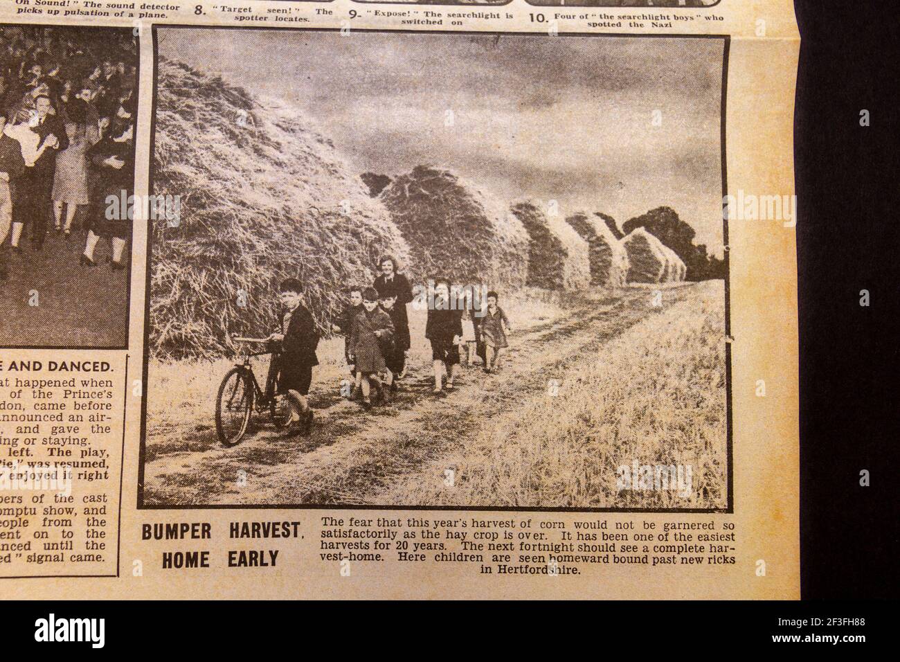 Foto von „Bumper Harvest“ in der Tageszeitung Daily Sketch (Replik), 29. August 1940 (während des Blitzes). Stockfoto