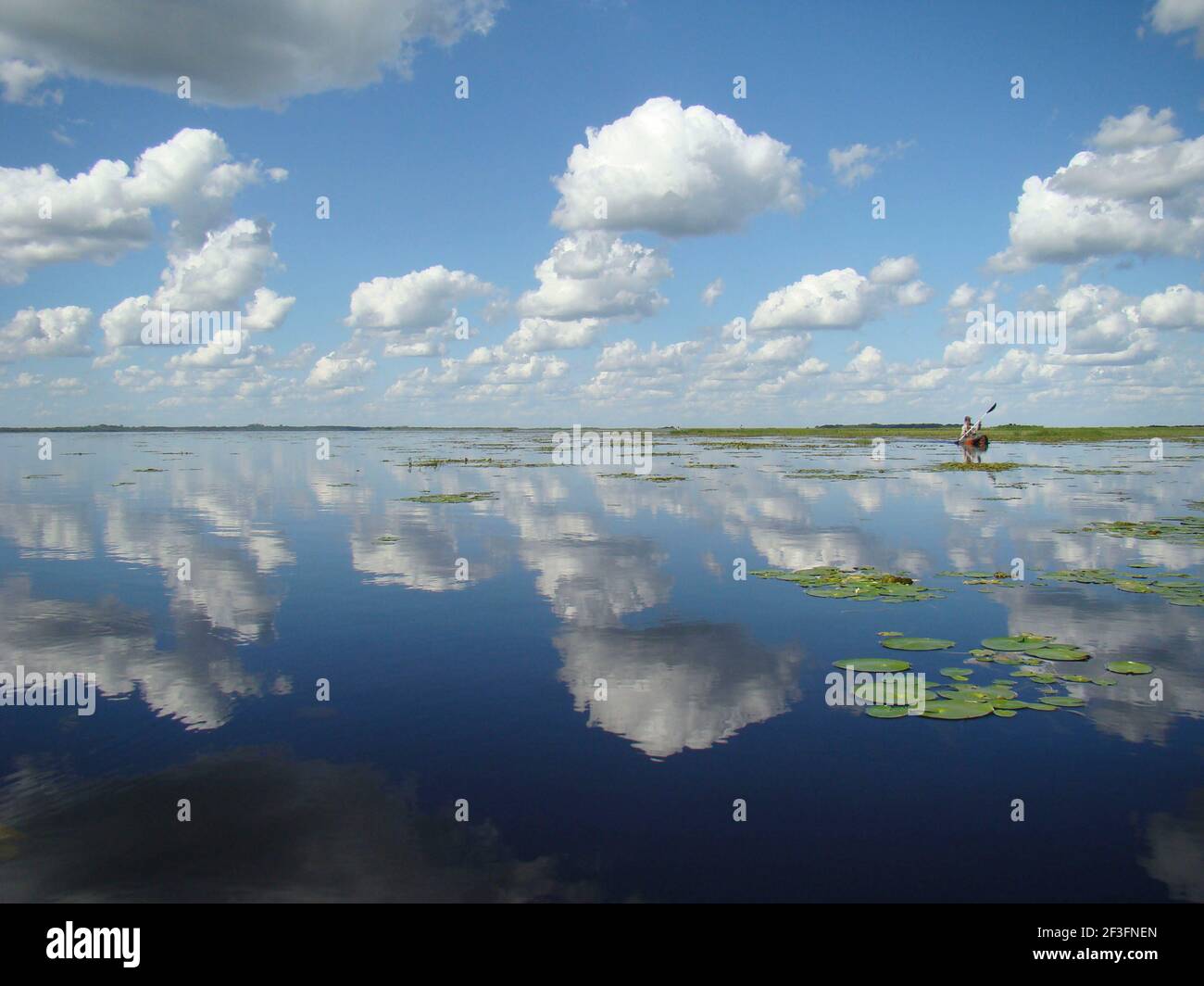 Mburucuya Nationalpark. Corrientes, Argentinien Stockfoto