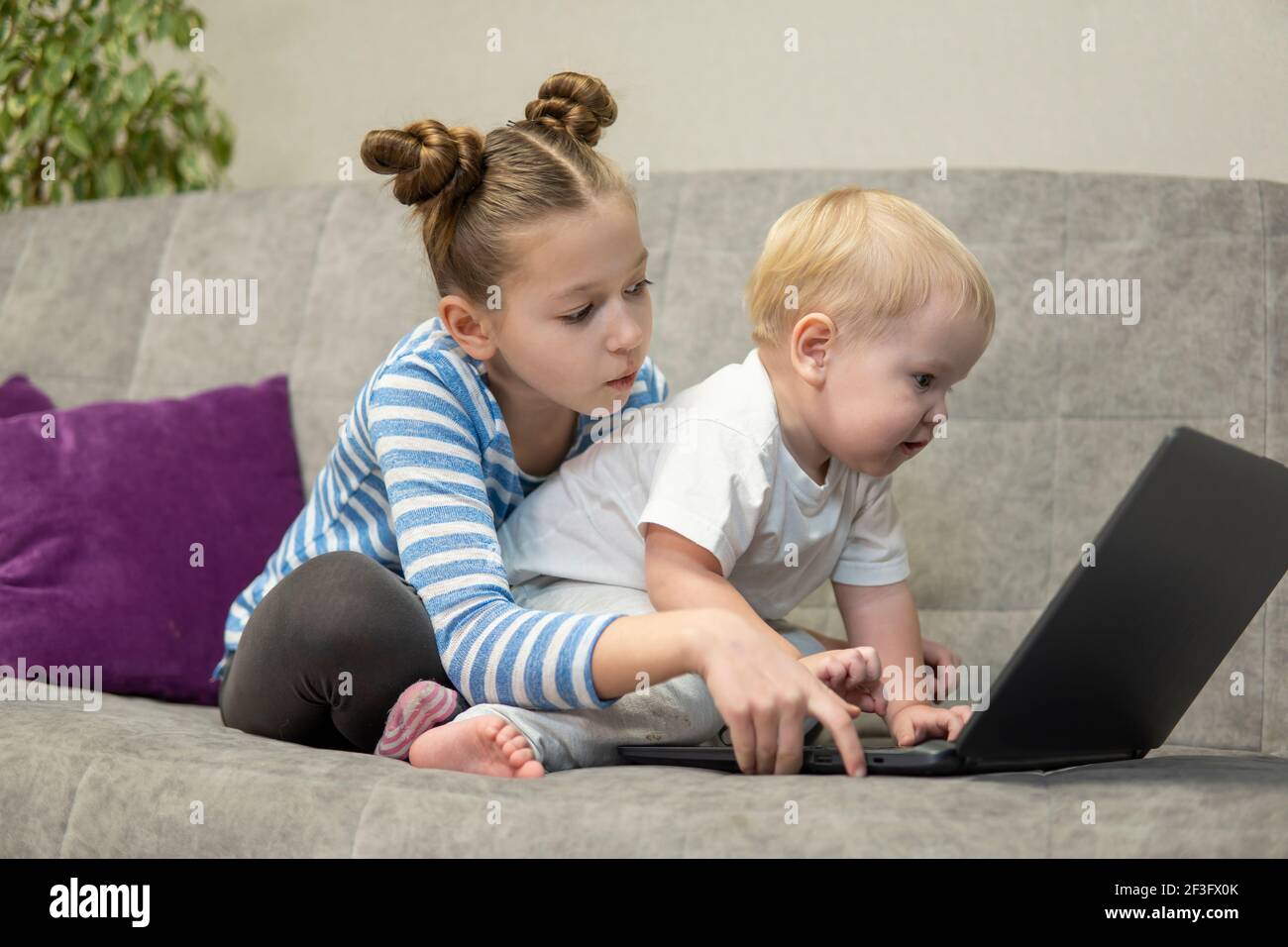 Kleine niedliche Jungen und Mädchen mit Laptop zusammen, Blick auf den Bildschirm, sehen Cartoons oder online spielen, Schwester und Bruder, Geschwister sitzen auf Stockfoto