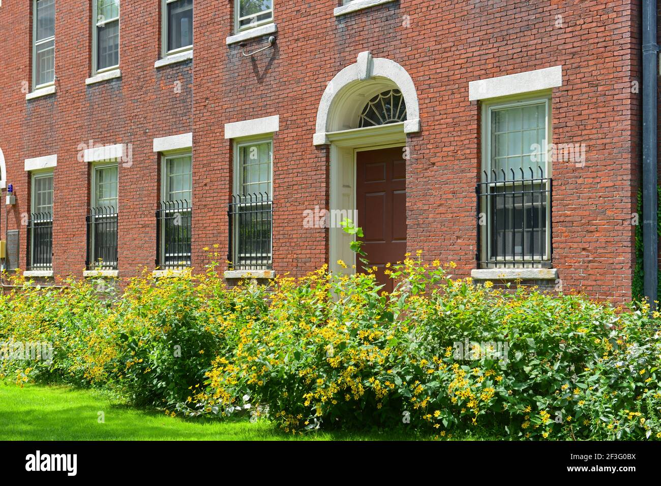 Hope College Gebäude in Brown University, Providence, Rhode Island RI, USA. Stockfoto