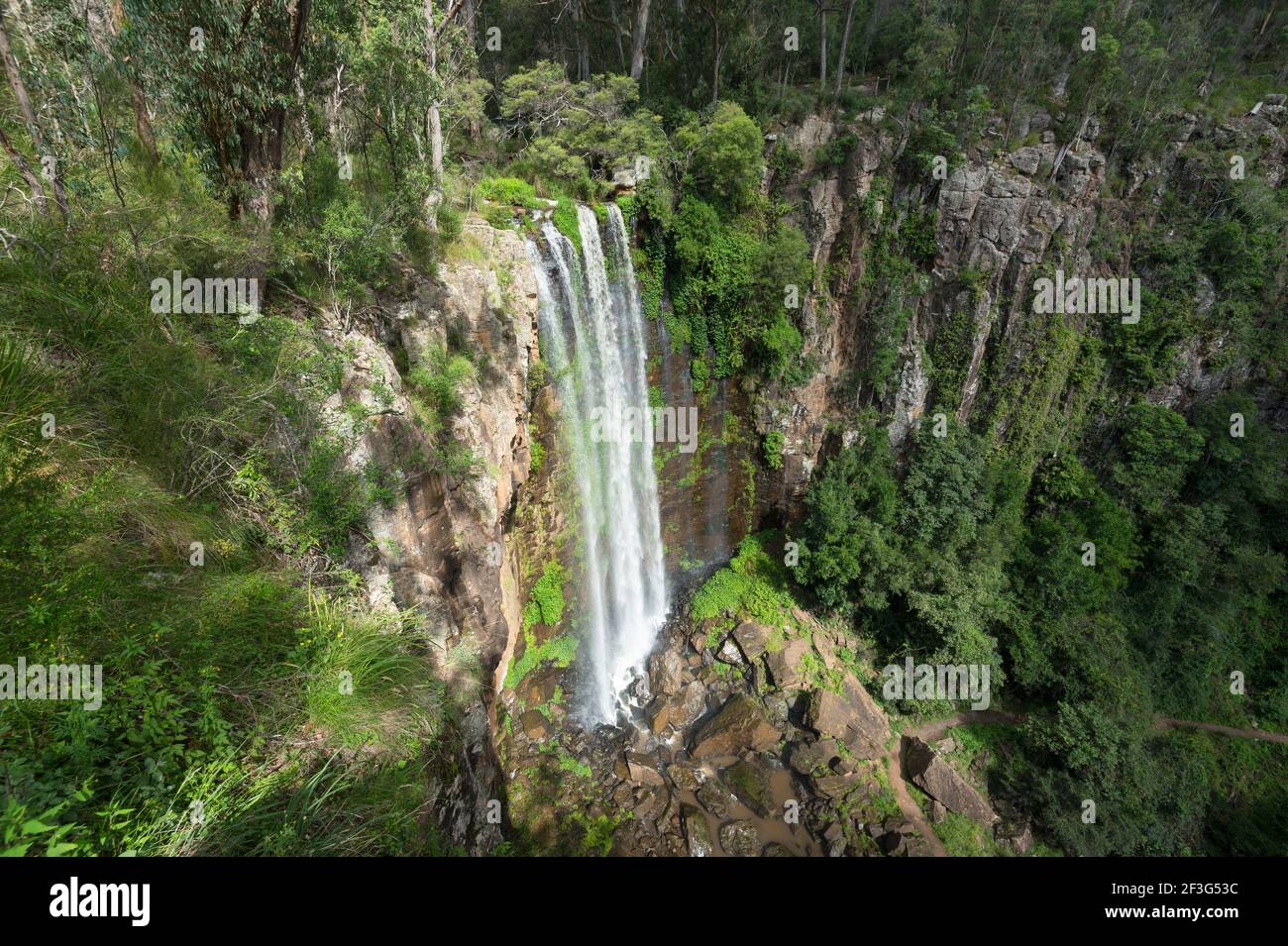 Panoramablick auf die beliebten Queen Mary Falls, Main Range National Park, Killarney, Queensland, QLD, Australien Stockfoto