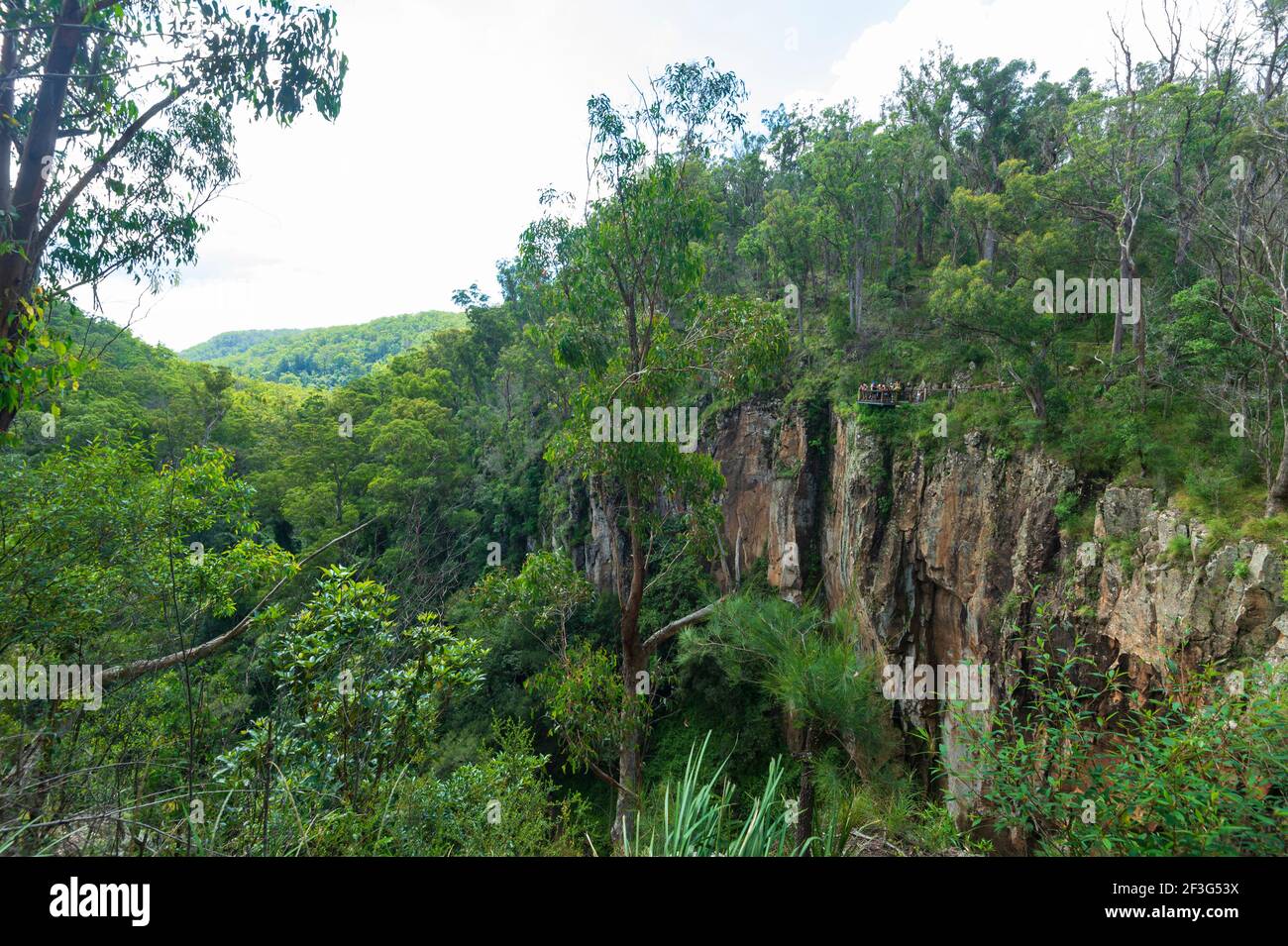 Panoramablick auf ein Tal mit Regenwald im Main Range National Park , Teil des Weltkulturerbes Gondwana Regenwälder von Australien, Killarney, Stockfoto