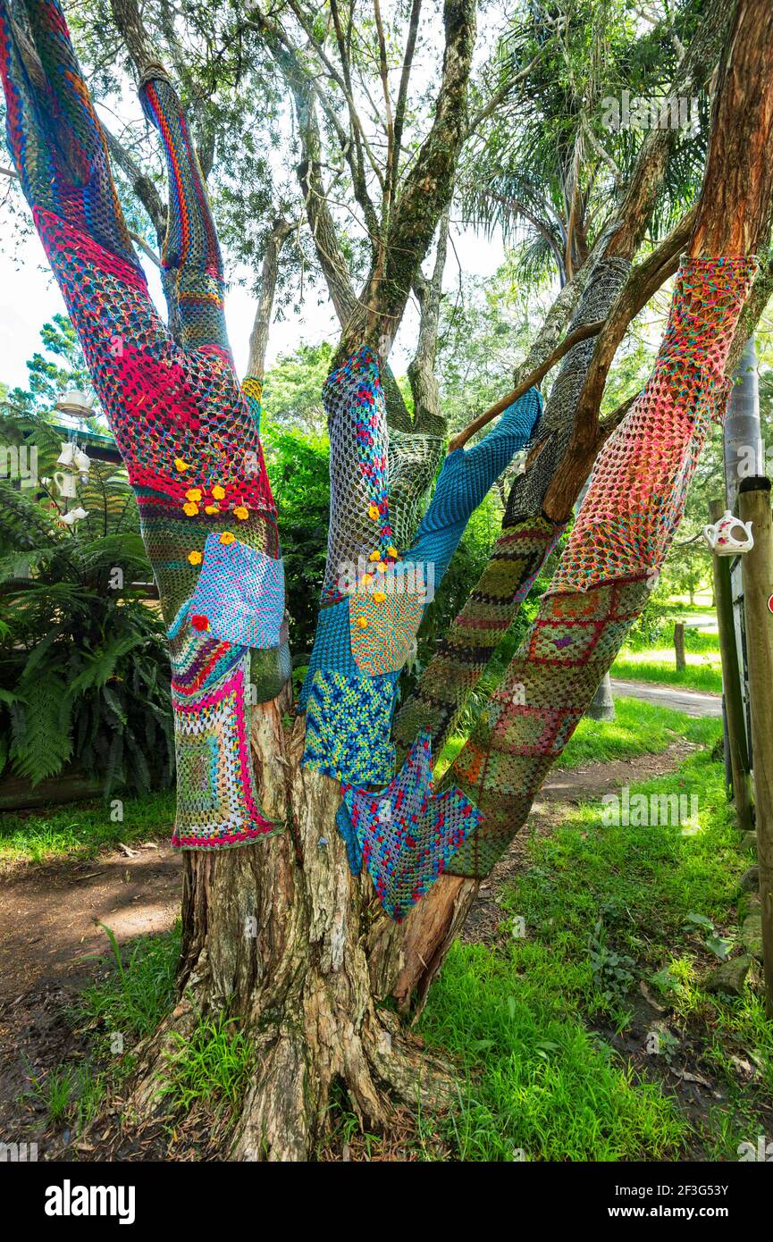 Patchwork gestricktes Häkeln auf einem Baumstamm außerhalb Mary Falls Caravan Park, Main Range National Park, Killarney, Queensland, QLD, Australien Stockfoto
