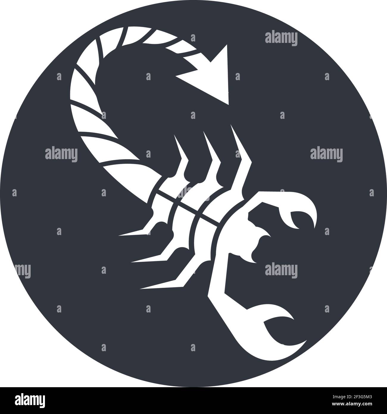 Scorpion Logo Vorlage Vektor Illustration Stock Vektor