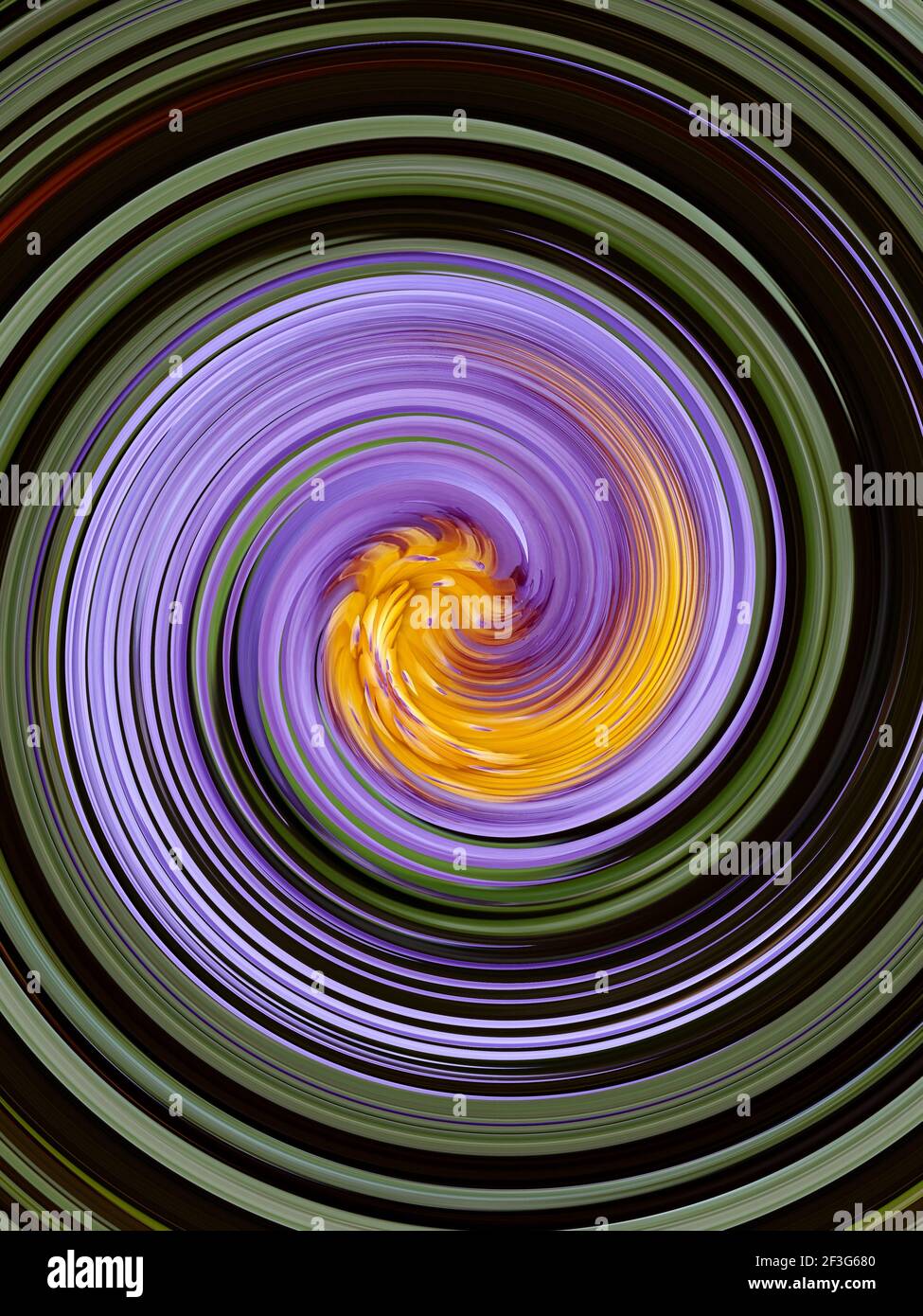 Feuerwelle auf schwarzem und grünem Hintergrund, Lila mit gelber Flamme Rollen und sich bis zur Spirale winden, Illustration leuchtender Embryo Stockfoto