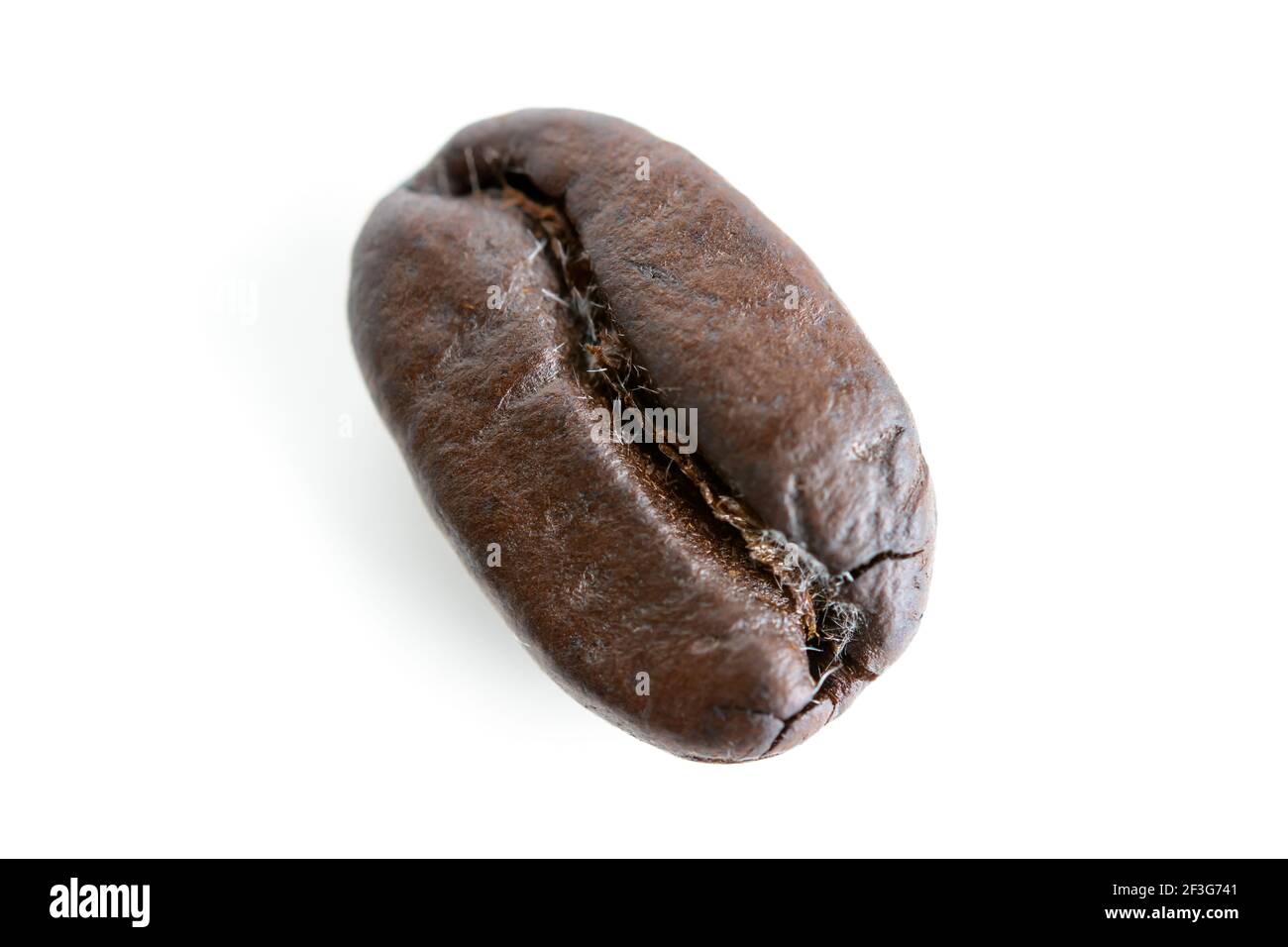 Kaffeebohne isoliert auf weißem Hintergrund Stockfoto