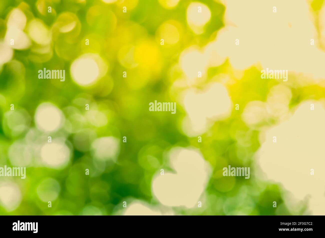 Natürliches grünes Bokeh abstrakter Hintergrund Stockfoto