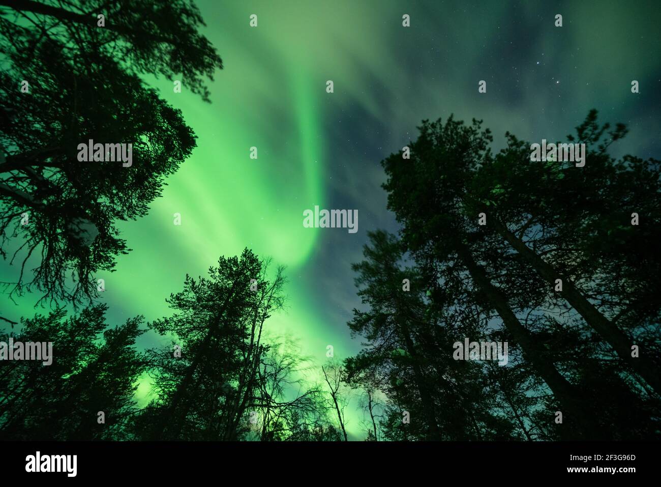 Aurora Borealis von Luirojärvi aus gesehen offene Wildnishütte im Urho Kekkonen Nationalpark, Sodankylä, Lappland, Finnland Stockfoto