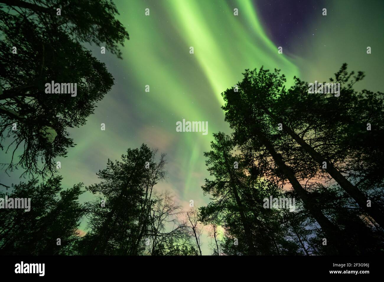 Aurora Borealis von Luirojärvi aus gesehen offene Wildnishütte im Urho Kekkonen Nationalpark, Sodankylä, Lappland, Finnland Stockfoto