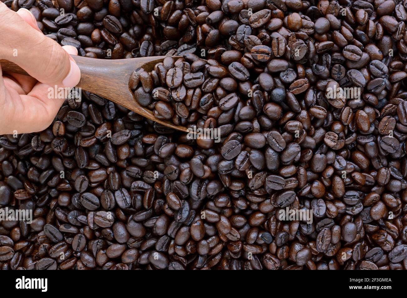 Hand mit Holzlöffel Aushöhlung dunkel gerösteten Kaffeebohnen Stockfoto