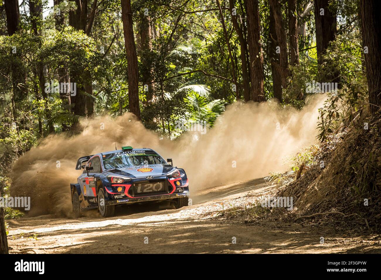 06 PADDON Hayden Daniel (NZL), MARSHALL Sebastian (GBR), HYUNDAI i20 WRC, HYUNDAI SHELL MOBIS WRT Aktion während der WRC World Rally Car Championship 2018, Rallye von Australien vom 15. Bis 18. november in Coffs Harbour, Australien - Foto Gregory Lenormand / DPPI Stockfoto