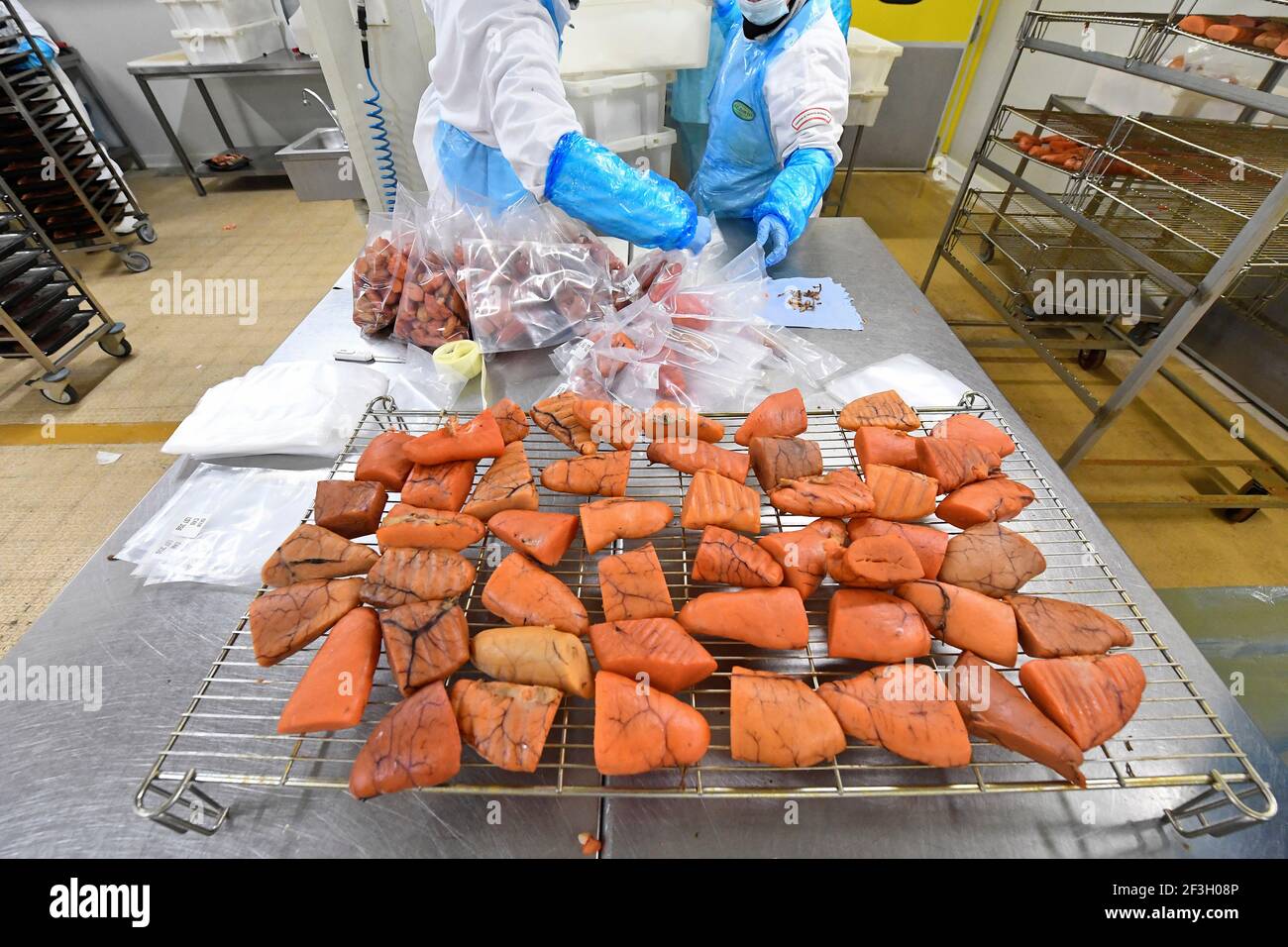 Boulogne-sur-Mer (Nordfrankreich): Geräucherte Lumpenfische in der Werkstatt der Salzfirma JC David. Mitarbeiter tragen Schutzausrüstung, glov Stockfoto