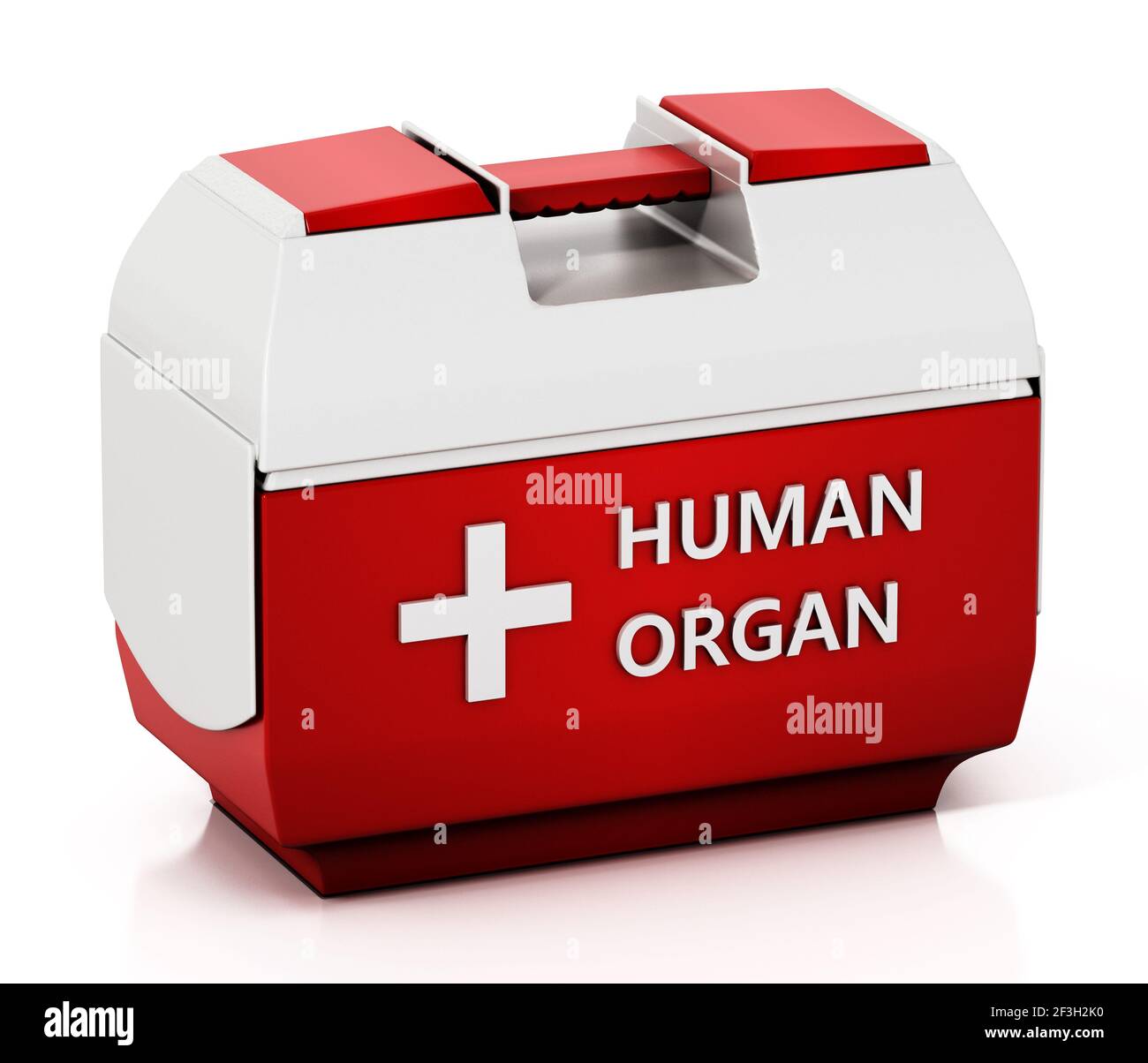 Transportbox für menschliche Organe auf weißem Hintergrund isoliert. 3D Abbildung. Stockfoto
