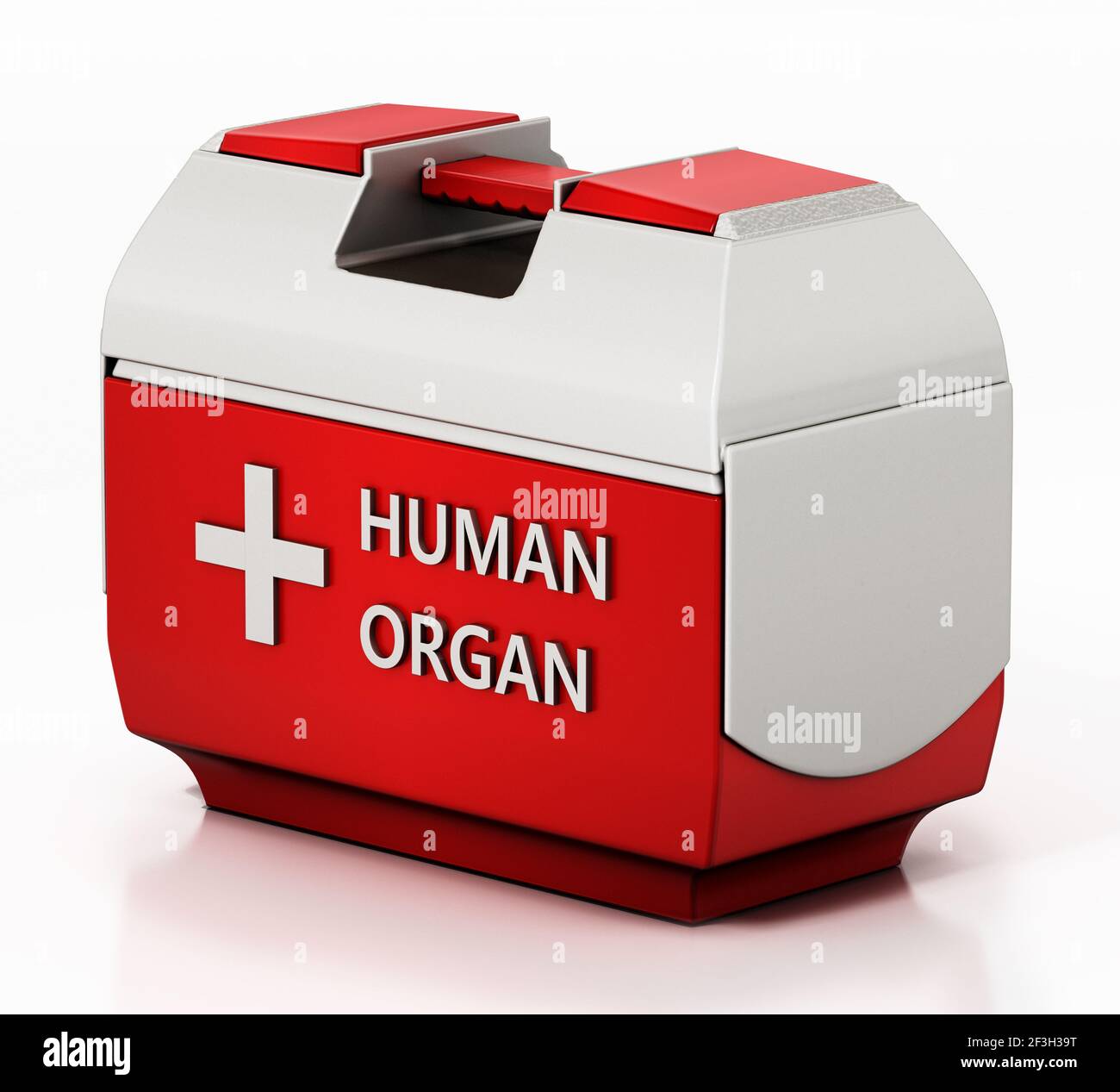 Transportbox für menschliche Organe auf weißem Hintergrund isoliert. 3D Abbildung. Stockfoto