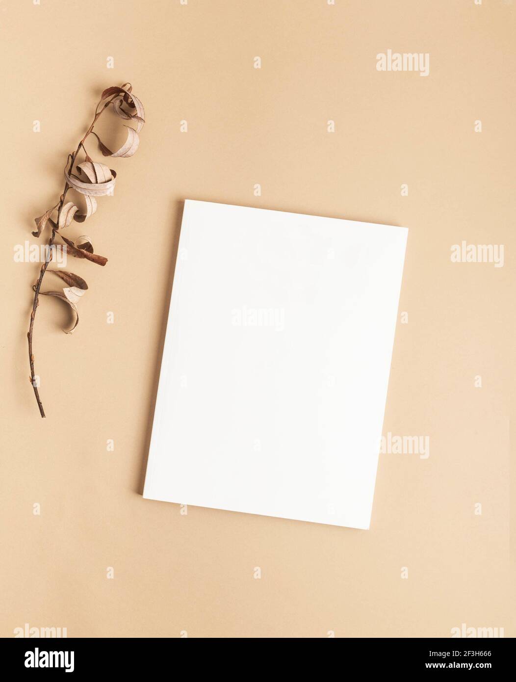 Weißer Zeitschriftendeckel Mockup und trockener Zweig auf beigem Hintergrund. Draufsicht. Speicherplatz kopieren Stockfoto